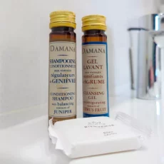 produits bienvenue location appartement argenteuil Flacons de shampooing et gel lavant Damana.