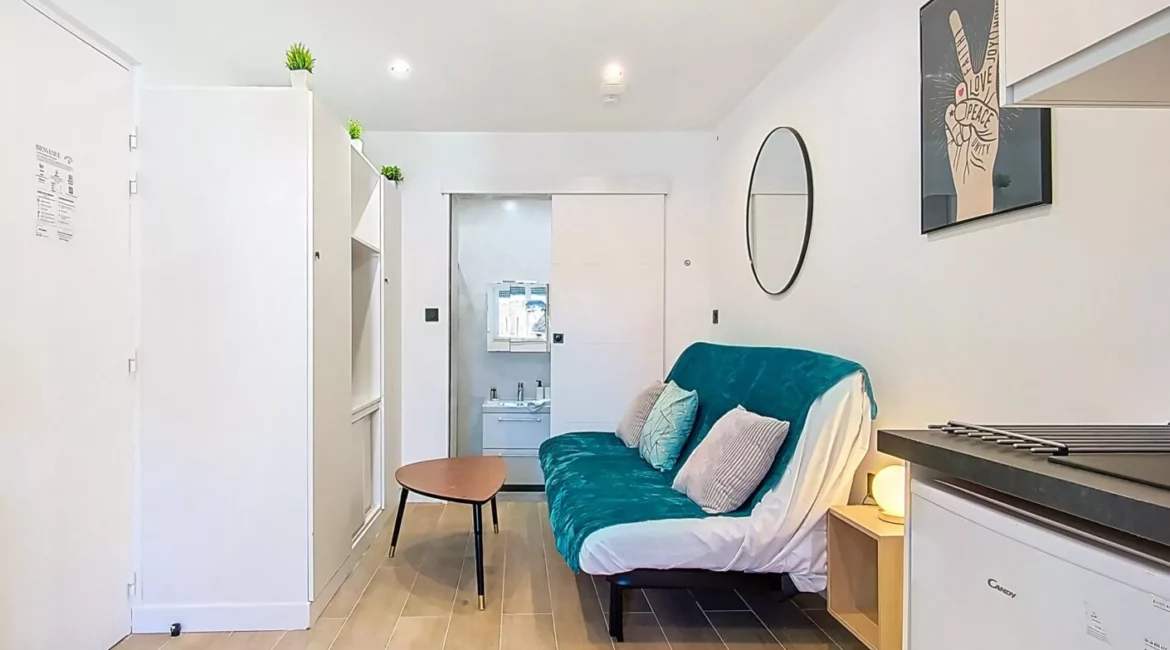 vue salon miroir salle de bain location appartement argenteuil