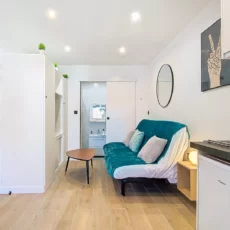 vue salon miroir salle de bain location appartement argenteuil